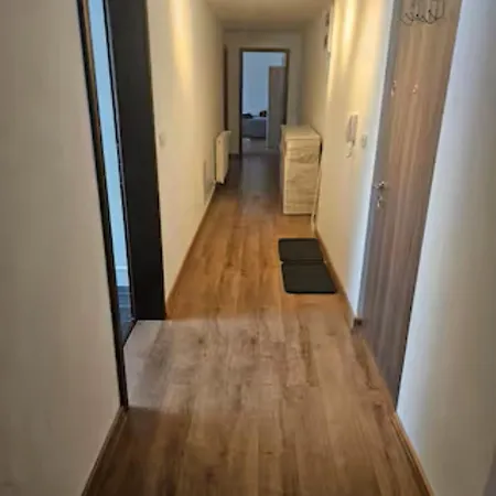 Schöne Vollausgestattete Monteurs- Gästewohnung In Der Gartenstadt Und Nähe Geiseltalsee Für 4 Personen 2209